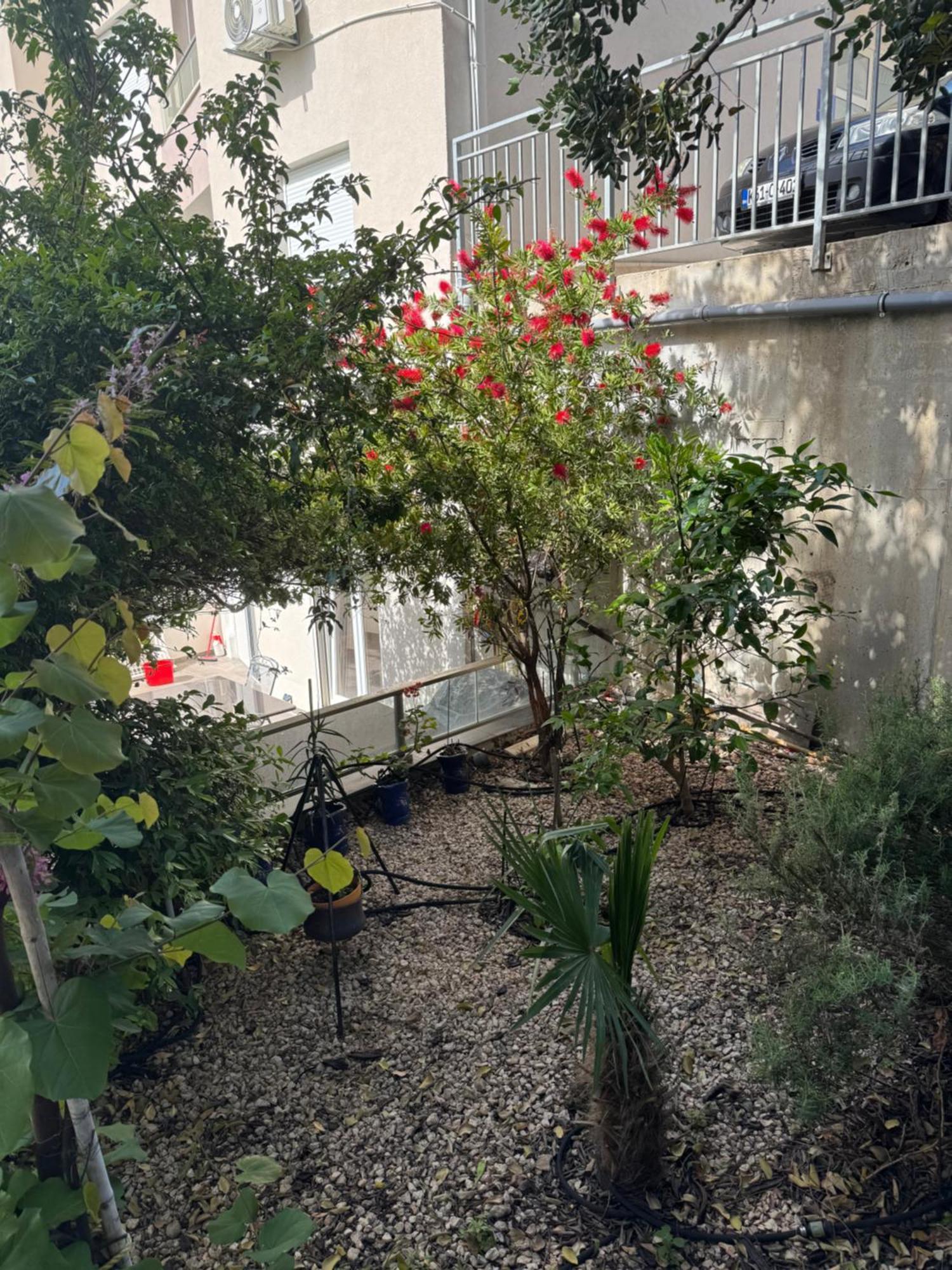 זיווגוסצה Vila Nimfa מראה חיצוני תמונה